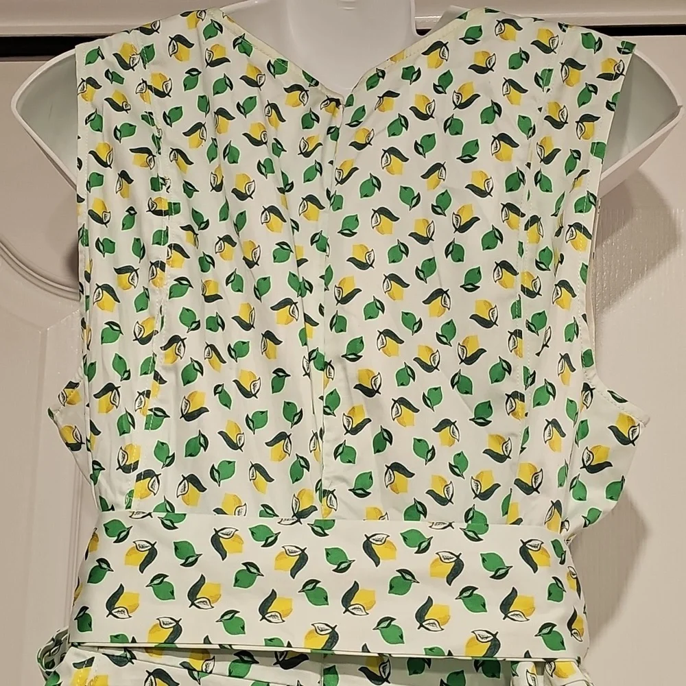 Boden Mischa Belted Lemon & Lime Dress Sz 14R NWT - Picture 10 of 13